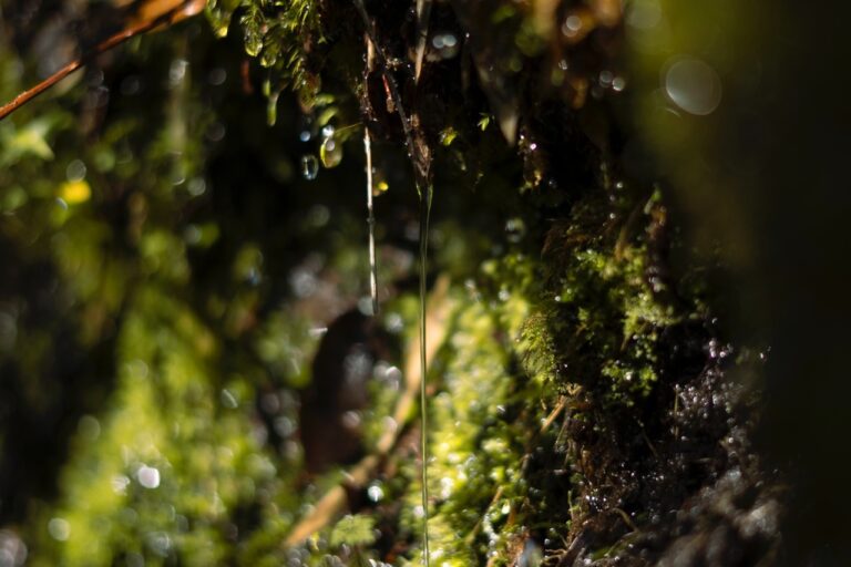 Seremi de las Culturas abre programa público que invita a explorar el territorio a través de las artes de la visualidad