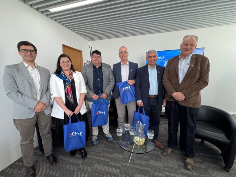 Cobertura sanitaria y vialidad: Los desafíos de la región de Los Ríos para el desarrollo productivo