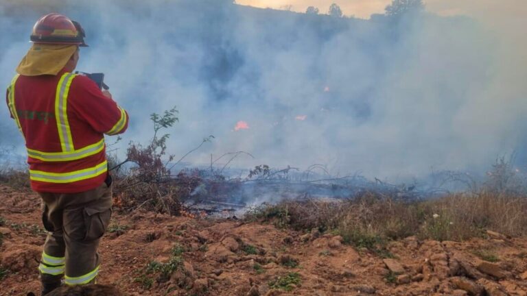 CONAF reitera calendario de quemas controladas para Los Ríos en la temporada 2025-2026