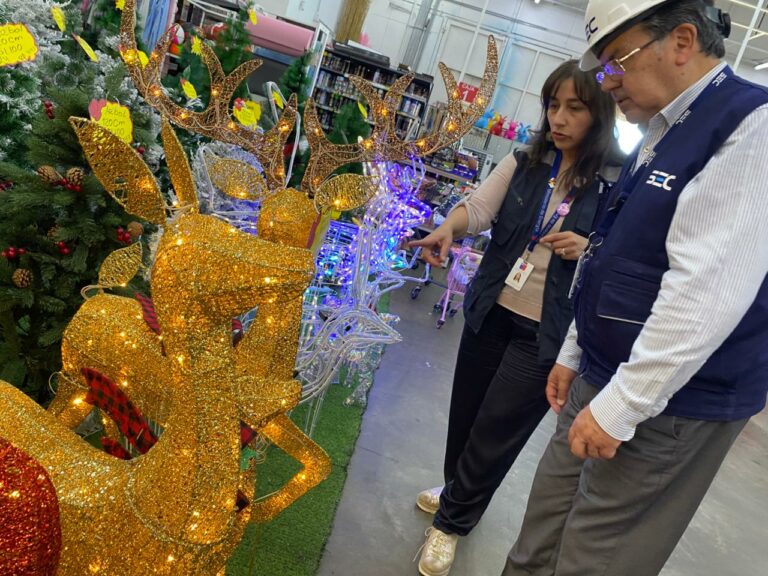 SEC Los Ríos junto a Seremi de Energía fiscalizan comercio y detectan incumplimientos en productos navideños