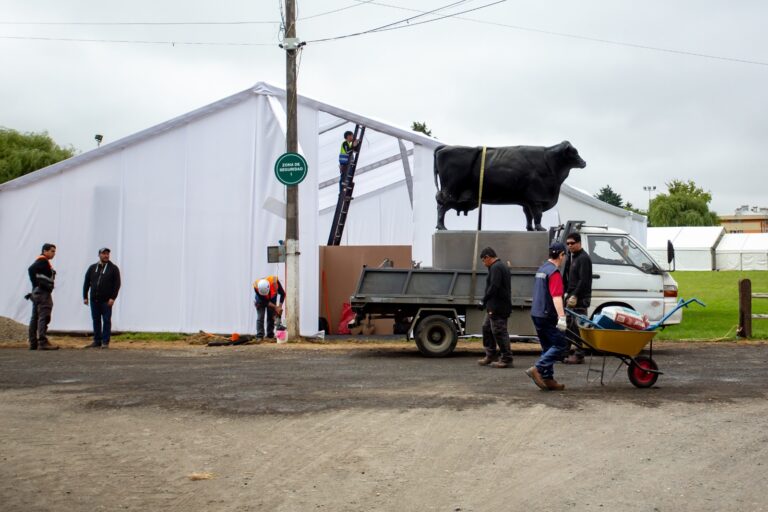 SAGOFISUR 2025 abre el jueves sus puertas con una jornada dedicada a la innovación, la ganadería y la asociatividad