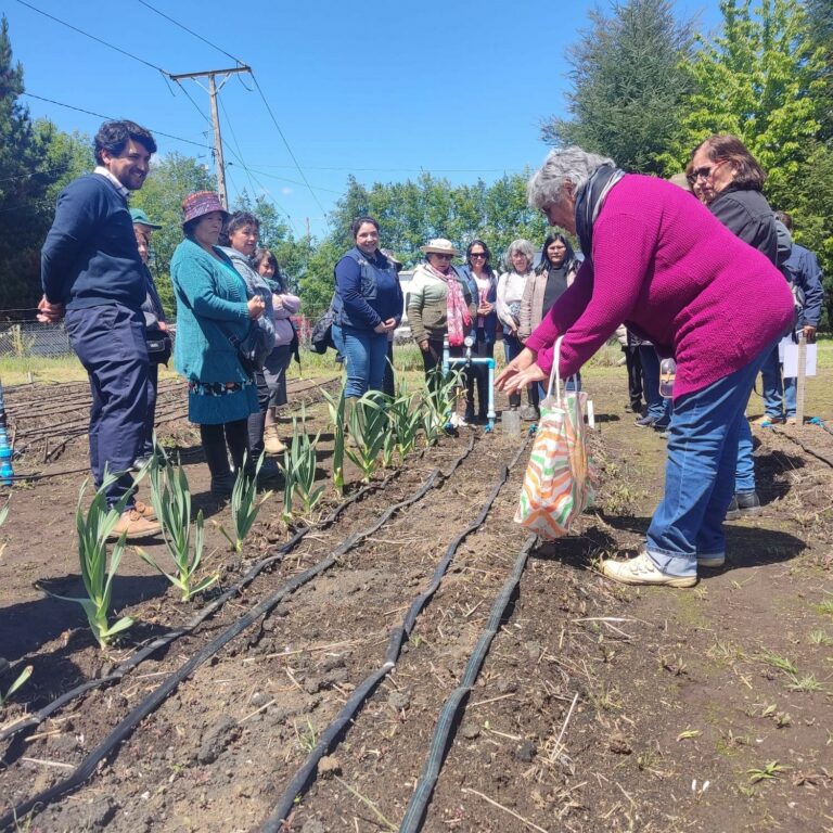 Siguen abiertas postulaciones a concurso de riego exclusivo para pequeñas agricultoras