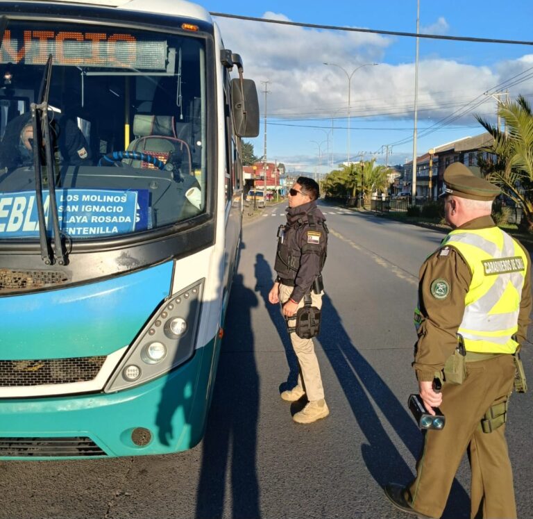 Más de 19 mil controles policiales realizaron patrullas mixtas de la región este 2025