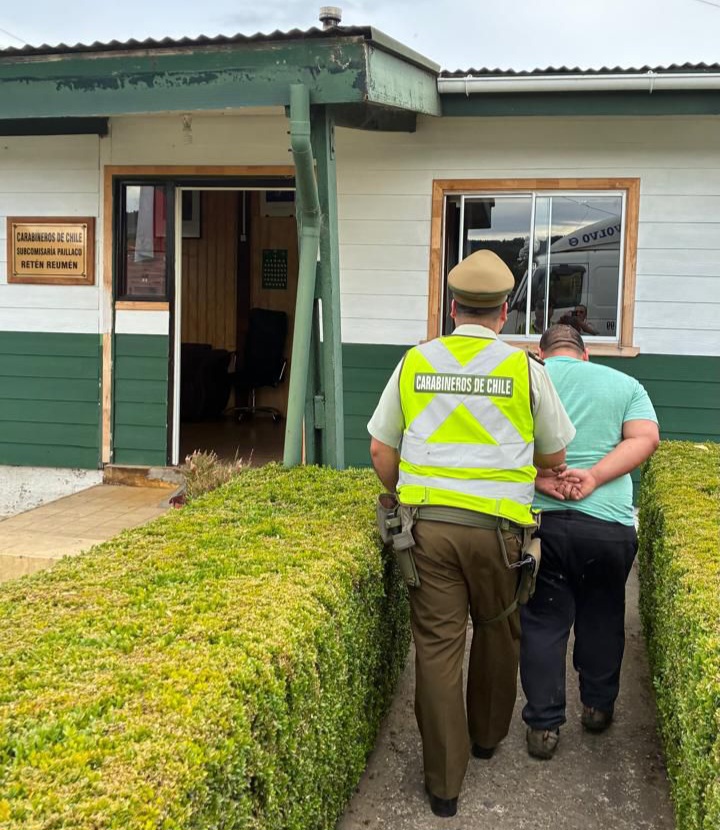 Por abigeato y uso fraudulento de instrumento público, Carabineros del Retén Reumén detuvo a conductor