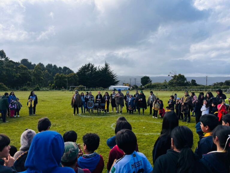 Palín, linao y más trajo el tercer encuentro de juegos mapuche que reunió a infancias en Los Ríos
