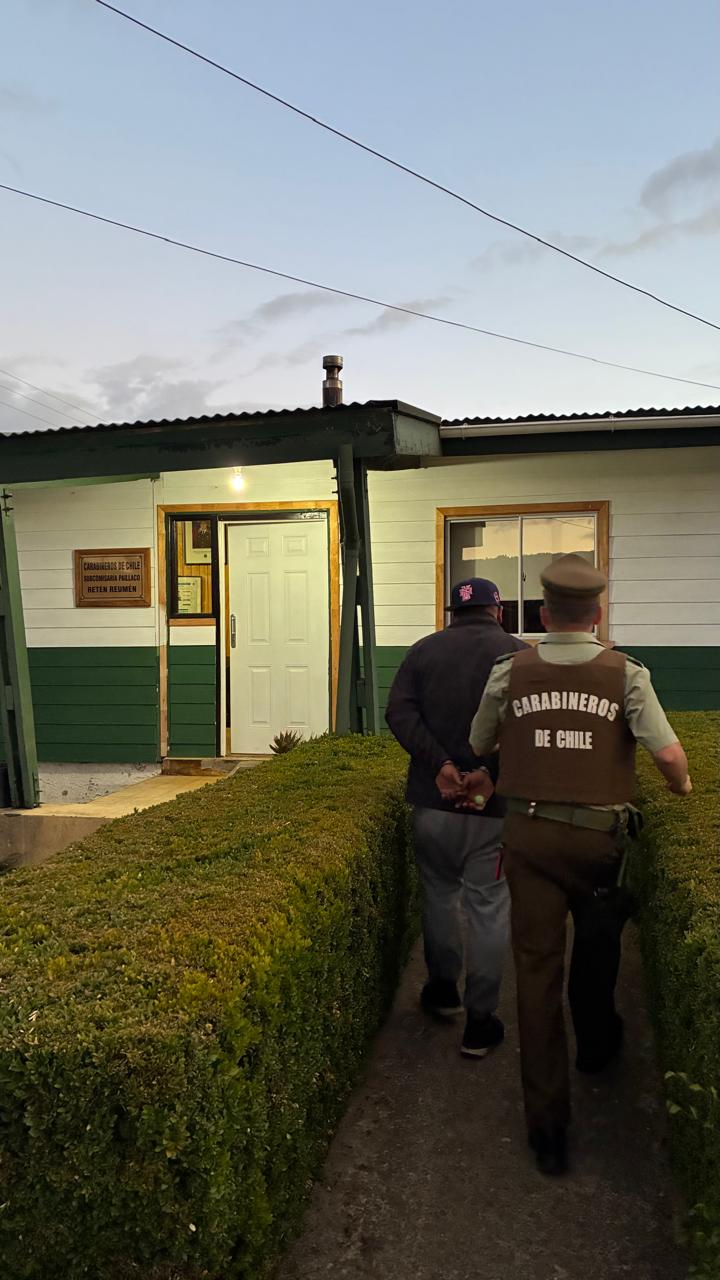 Tres detenidos por robo de cableado eléctrico en fundo de Paillaco