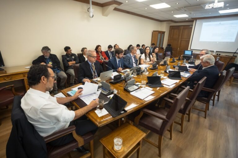 Comisión de Economía aprueba Proyecto de ley de Ferias Libres