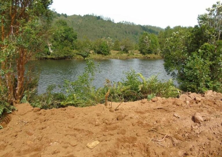 Fiscalía de Los Ríos acusa a empresario por daño ambiental en Mariquina: solicita 8 años de presidio y multa de $1.700 millones