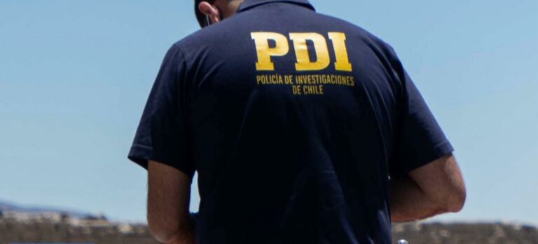 PDI desarticula faena ilegal de madera en La Unión: tres detenidos y millonaria incautación