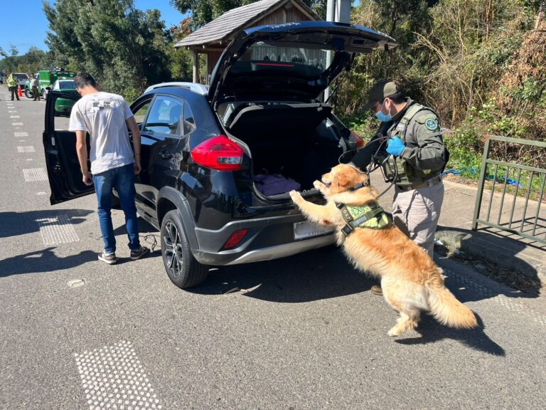 Aumentan incautaciones de drogas y desarticulación de bandas criminales en Los Ríos