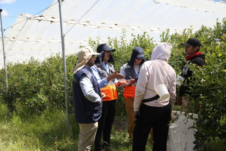 Comienza programa de fiscalización agrícola 2025–2026 con operativo en Los Ríos