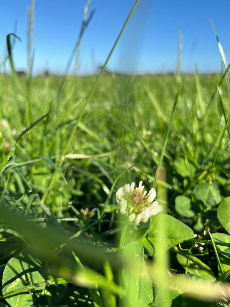 Regenerar no es una opinión: es una métrica