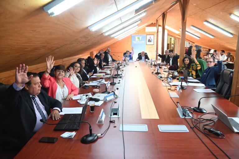 CORE aprobó por unanimidad proyecto “Nos Mueve Cuidarte”, fortaleciendo la Red de Cuidados en Los Ríos