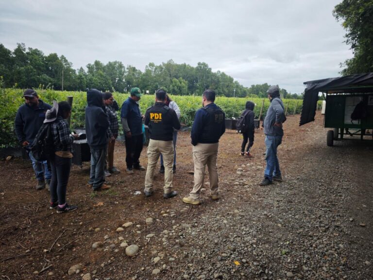 PDI realizó fiscalización migratoria en Río Bueno: 13 ciudadanos bolivianos fueron identificados como infractores