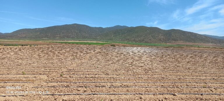 Universidad Austral de Chile se adjudicó un nuevo centro de investigación de suelos