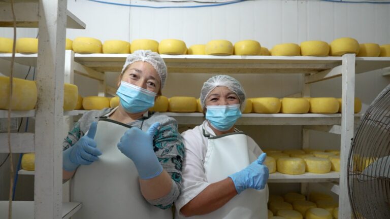 Gobierno Regional concreta histórico apoyo a cooperativa lechera de Río Bueno junto a INDAP