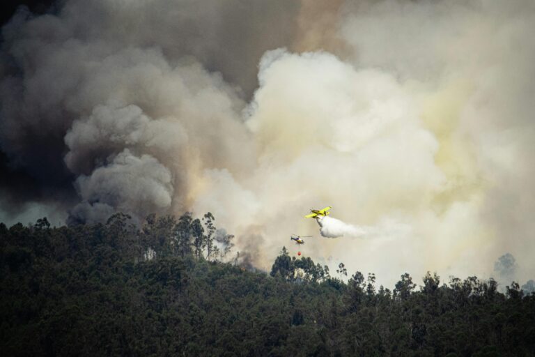 Incendios en Chile: expertos llaman a tener precauciones frente al humo y a usar más tecnología para combatir la emergencia