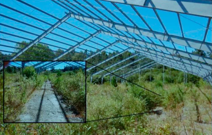 Tribunal rechazó reclamación contra SMA que archivó denuncia por caducidad de “Piscicultura Río San Pedro”