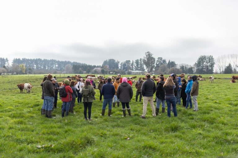 Regenerar no es solo sostener: el vacío espiritual en la agroecología moderna