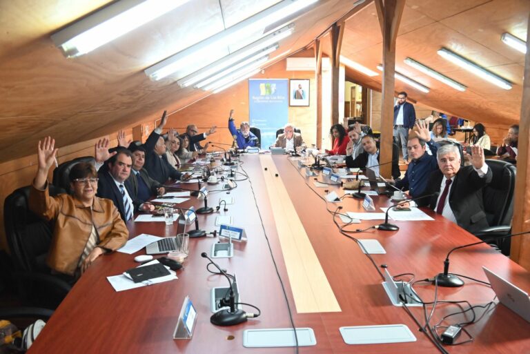 Gore Los Ríos destinó recursos para asegurar las condiciones sanitarias para familias de Neltume