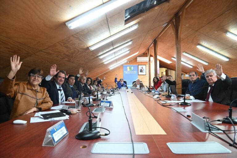 GORE impulsa el diseño y la identidad local con recursos para el desarrollo de Ranco Diseño 2026