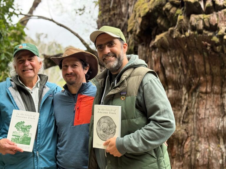 La Unión acoge lanzamiento de dos libros sobre el alerce