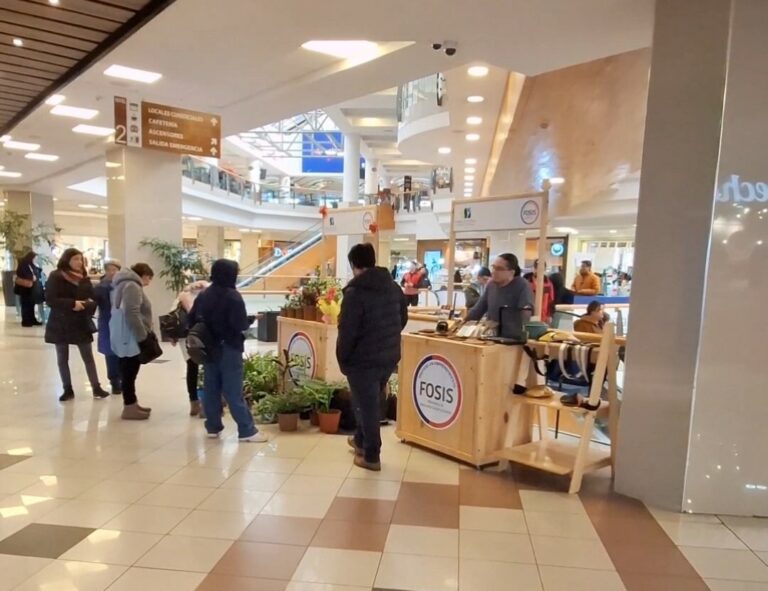 FOSIS abre postulaciones para módulos de venta en Plaza Los Ríos Mall de Valdivia