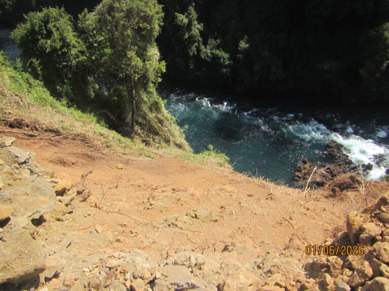 Conaf detecta irregularidades y presenta nueva denuncia por alteración de la ladera del río Bueno