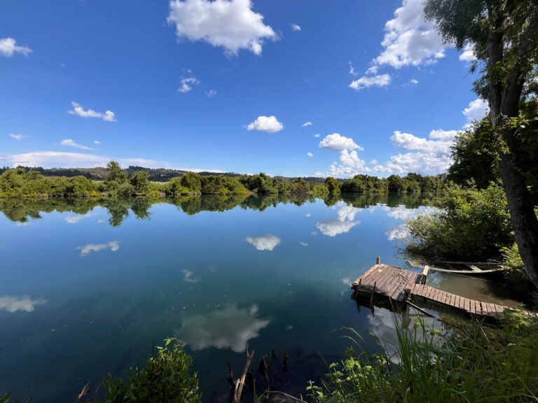 Proyecto piloto en la cuenca del Río Bueno busca integrar el valor de la naturaleza en las decisiones públicas