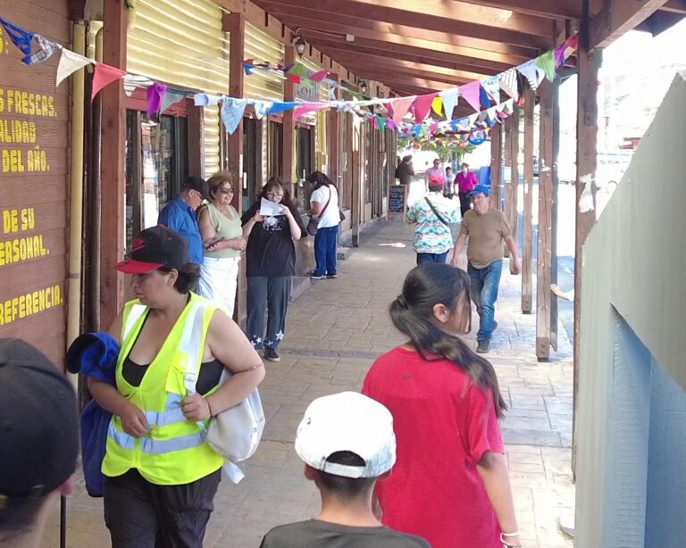 Paillaco dio la bienvenida a un nuevo Barrio Comercial de Sercotec