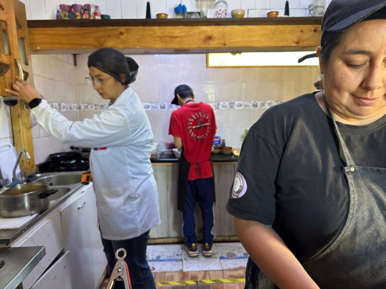 Autoridad Sanitaria refuerza fiscalizaciones sanitarias para resguardar la inocuidad de los alimentos