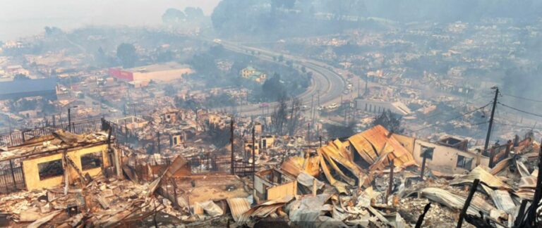 Colmevet activa donación por incendios en las regiones de Ñuble y Biobío