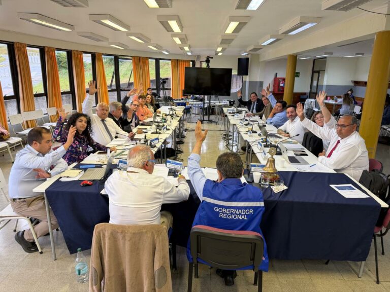 Consejo Regional definió representantes para sus comisiones de trabajo para el año 2026