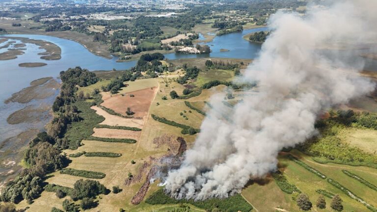 CONAF actualiza balance de incendios forestales en la Región de Los Ríos