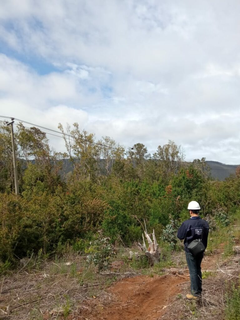 SEC Los Ríos formula cargos a SAESA por falta de mantención en redes de sector costero de Valdivia 