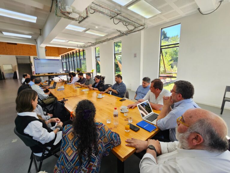 Más de $3.500 millones ejecutados en 2025 posicionan a Fomento Los Ríos como motor del desarrollo sostenible regional