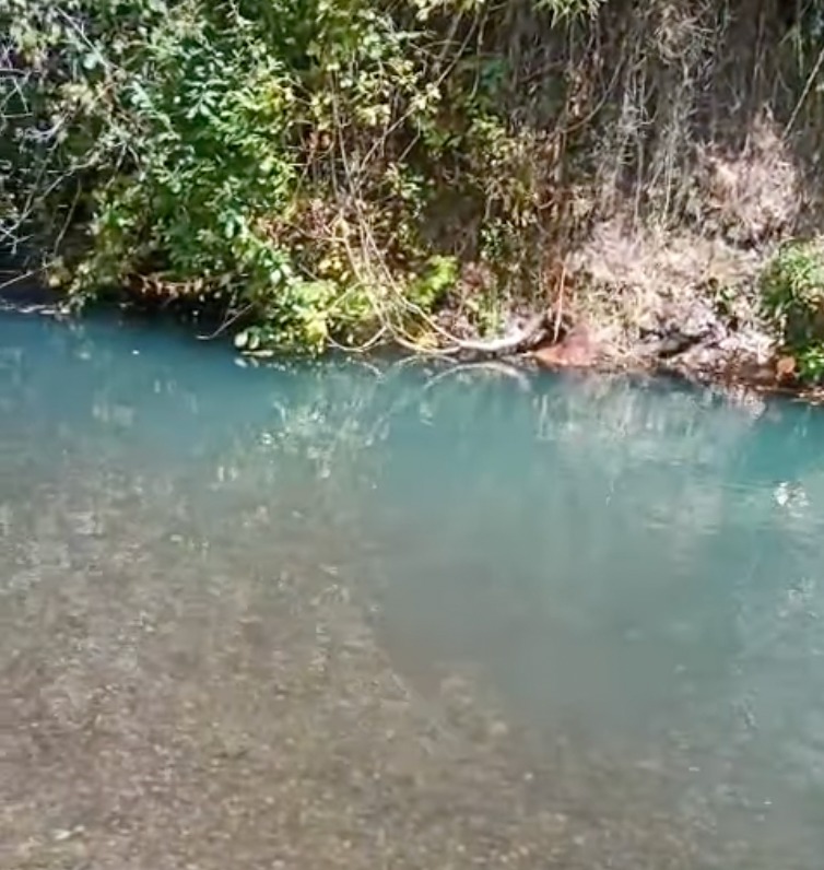 Denuncian posible contaminación del río Traiguén en sector San Javier