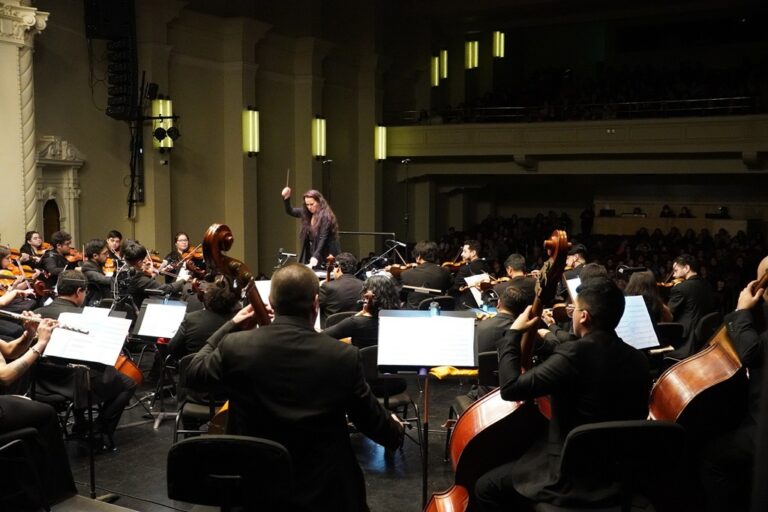 Primera entrega anual de fondos del Ministerio de las Culturas financiará 38 proyectos en Los Ríos  