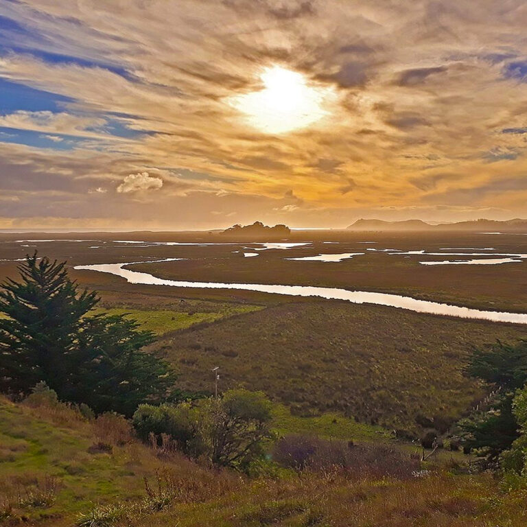 La regeneración tiene un nombre antiguo: lo que el Kimün mapuche le enseña a la ciencia del suelo