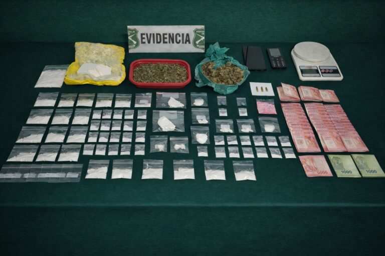 Incautan más de 500 gramos de droga y municiones en allanamiento en Río Bueno