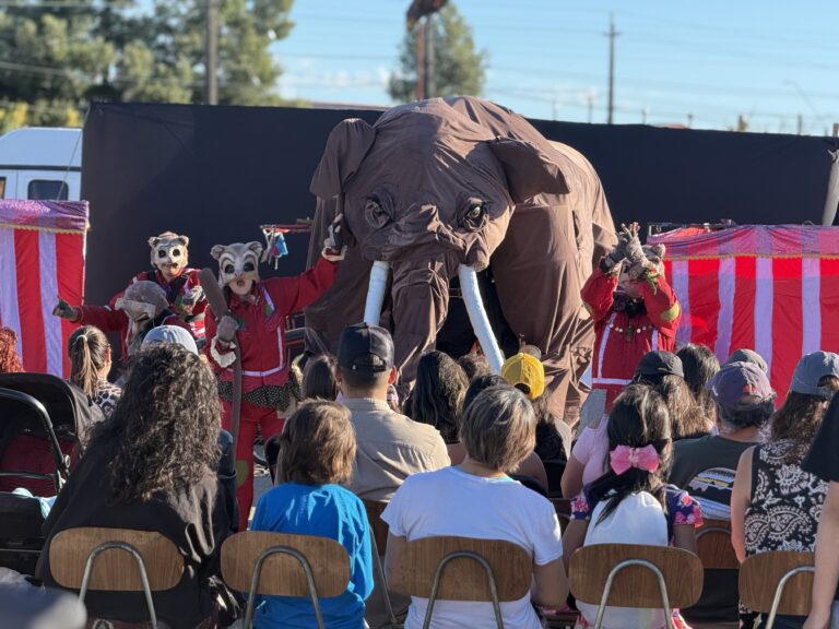 SENDA Previene Valdivia cerró campaña de verano con intervención artística en barrio Pablo Neruda