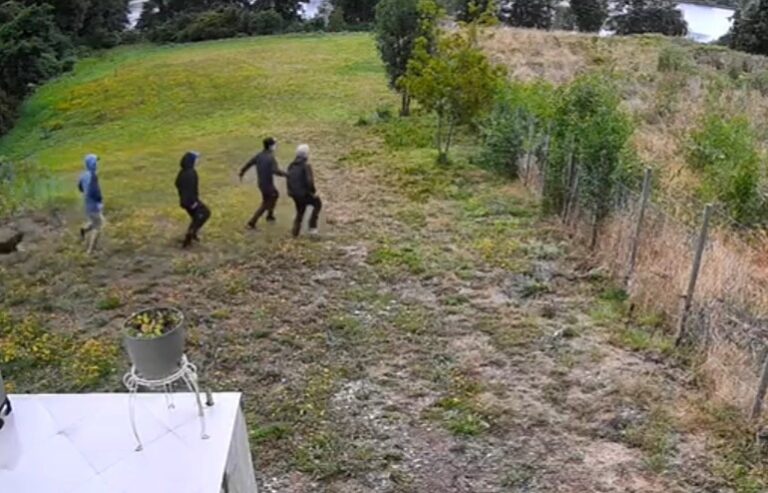 4 detenidos por robo en vivienda del sector Santa Elvira de Valdivia