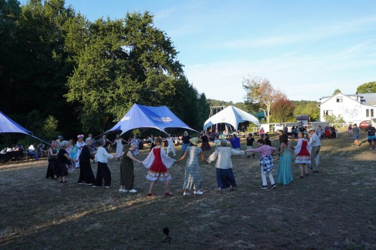 Actividades en 10 comunas y positiva evaluación dejó Día de los Patrimonios en Verano en Los Ríos