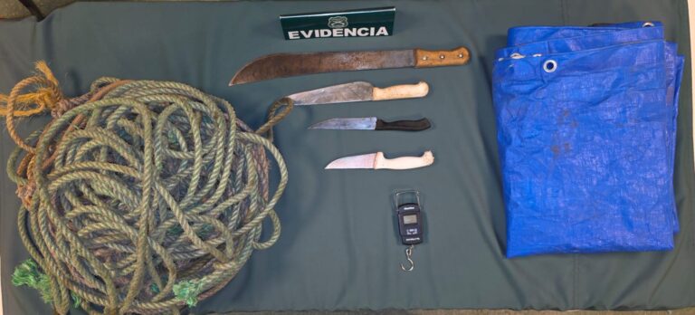Carabineros detiene a tres sujetos tras persecución por denuncia de abigeato en Valdivia