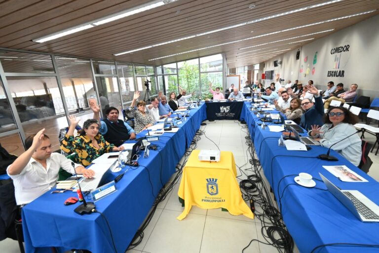 GORE financiará programa de fortalecimiento comunitario en Morrompulli y Los Guindos que ejecutará el FOSIS