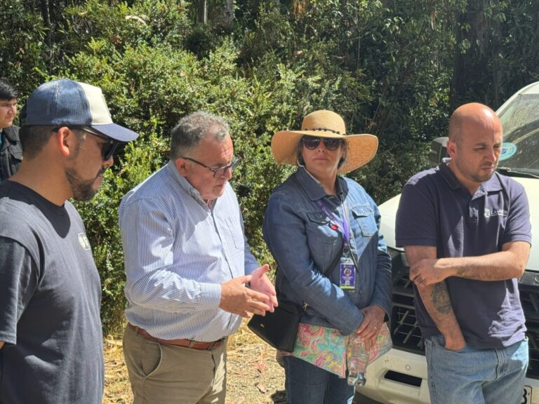 Diseño de interconexión vial Chaihuín–Límite Regional deberá licitarse por tercera vez y podría postergarse hasta 2027