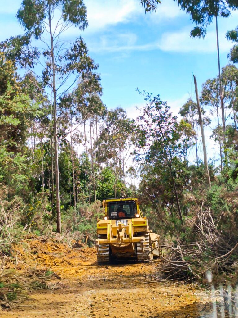 Los Ríos refuerza su estrategia preventiva con más de 184 km de cortafuegos ejecutados en la temporada 2025-2026