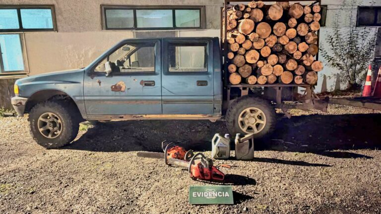 3 detenidos por sustracción de madera en Mariquina