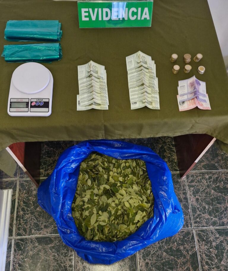 Imputado extranjero queda detenido por transportar más de 8 kilos de hoja de coca en La Unión