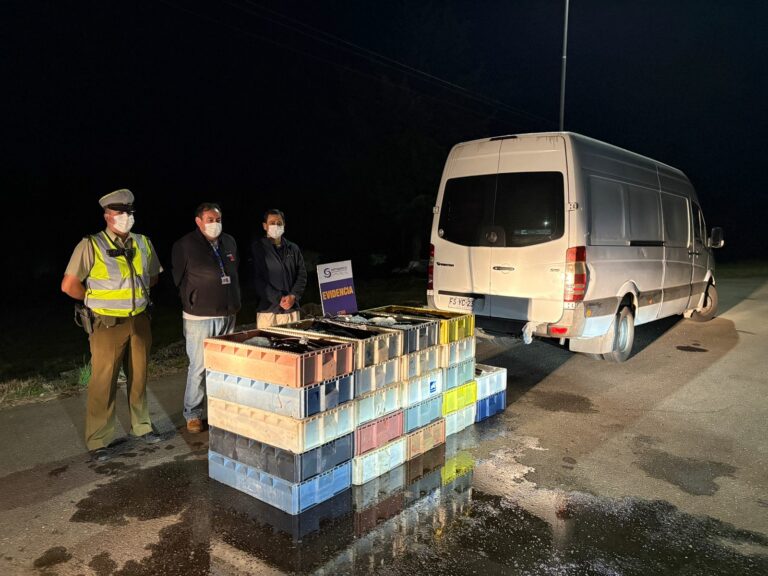 Carabineros decomisó más de una tonelada de merluza sin acreditación